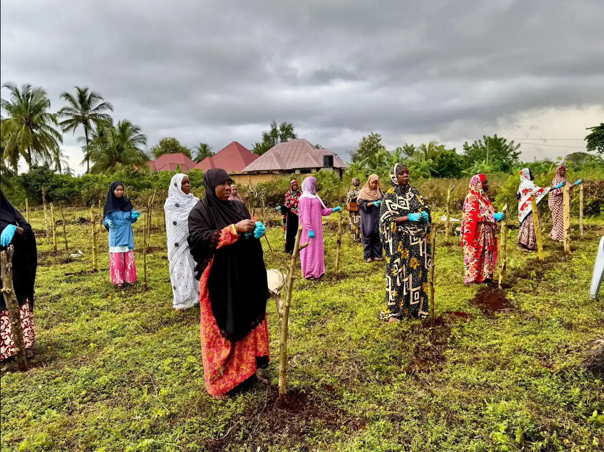 Women working together on a livelihood project