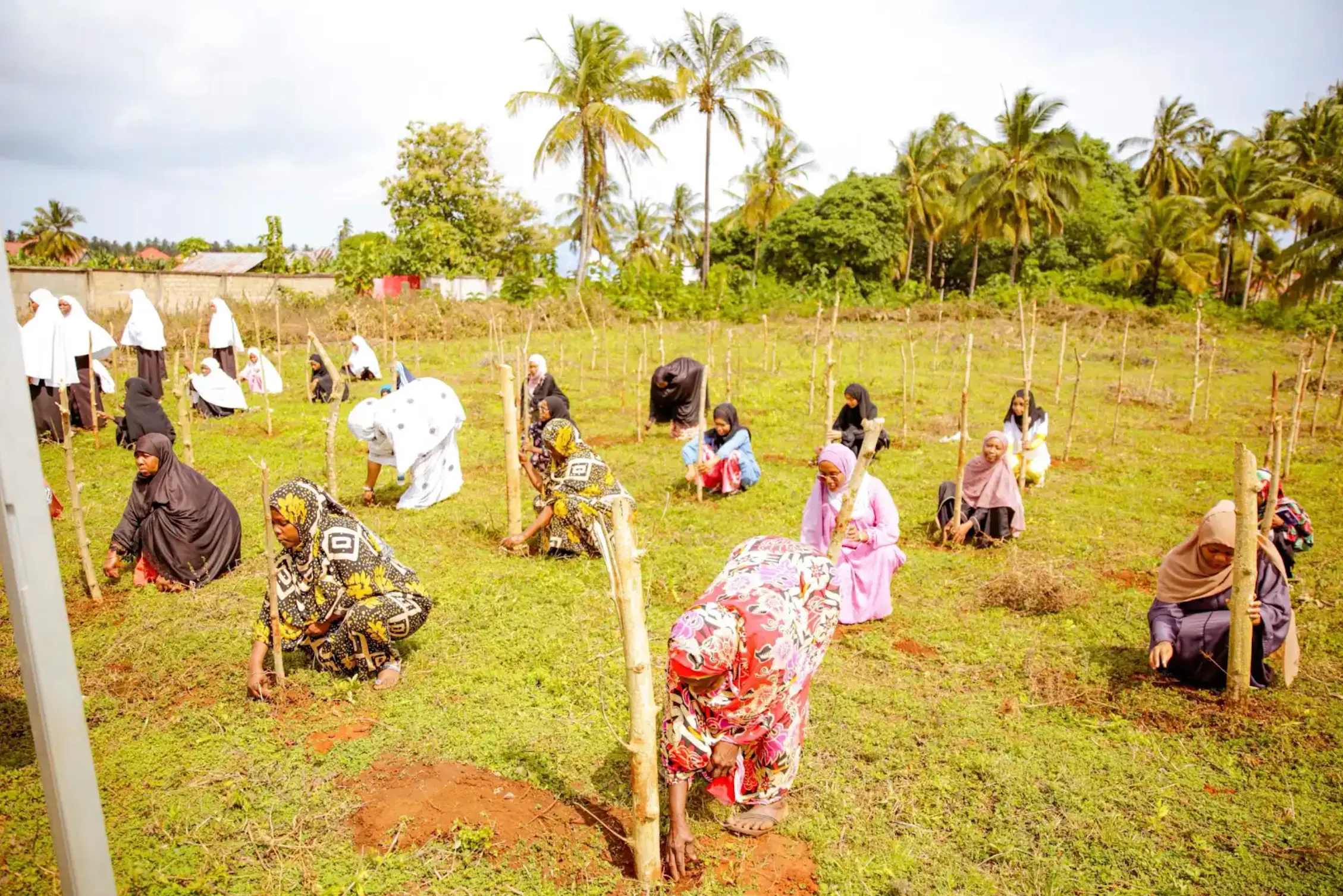 Women participating in a community program