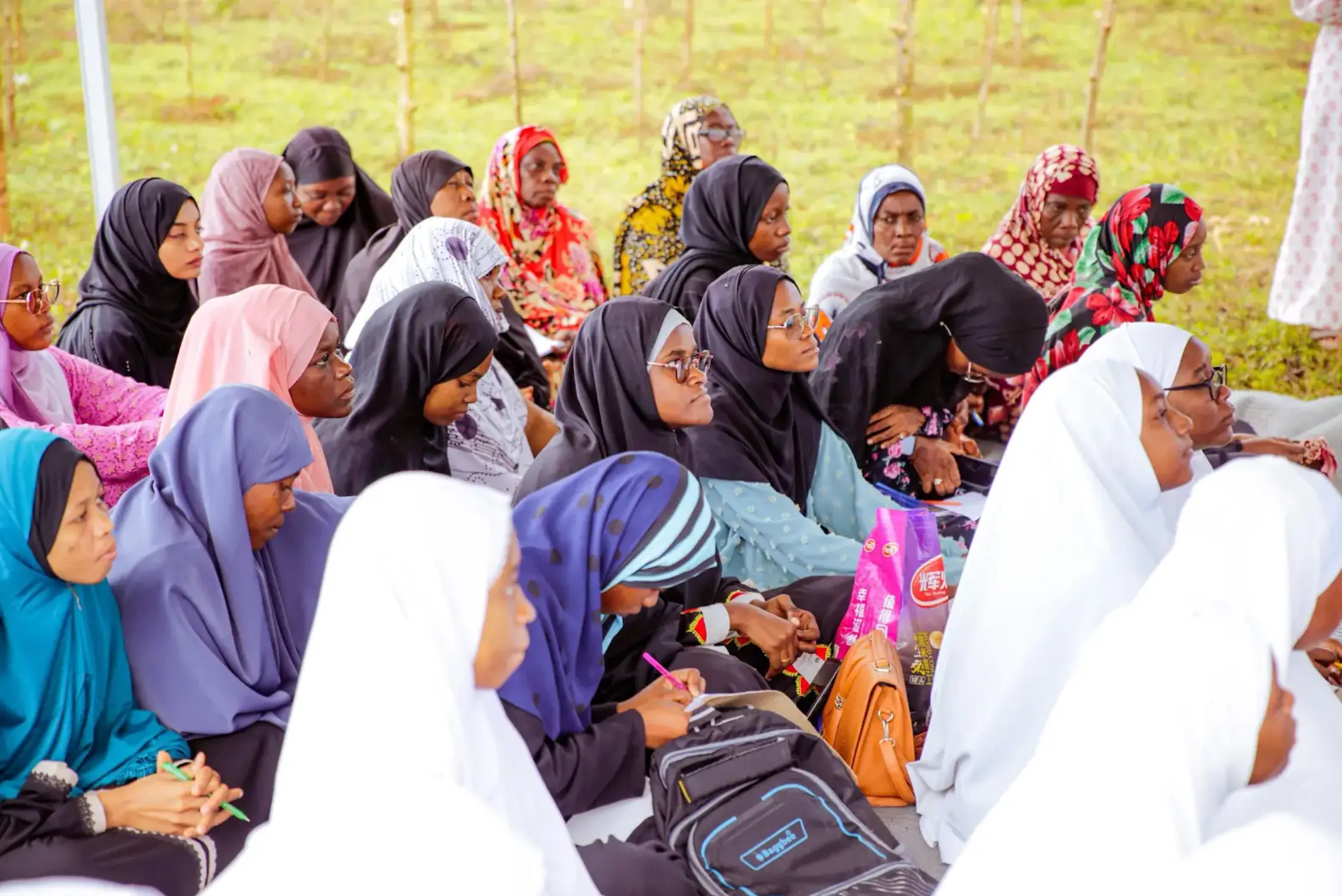 Community members engaged in a civic program